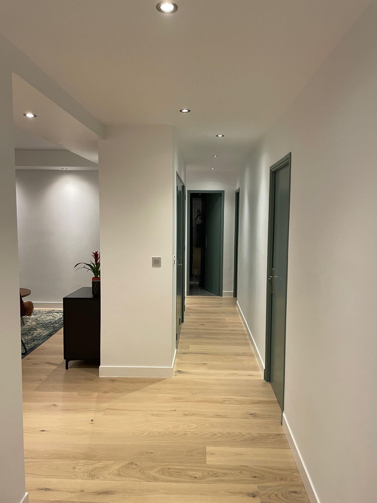 Couloir de logement rénové : parquet chêne clair, portes vert sauge